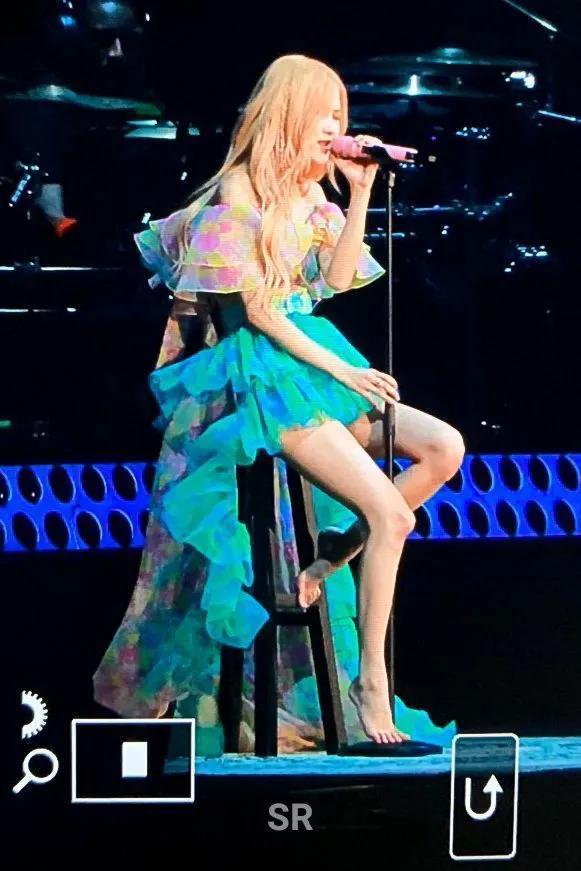 澳洲野玫瑰穿仙女裙 (澳洲野玫瑰日常生活)