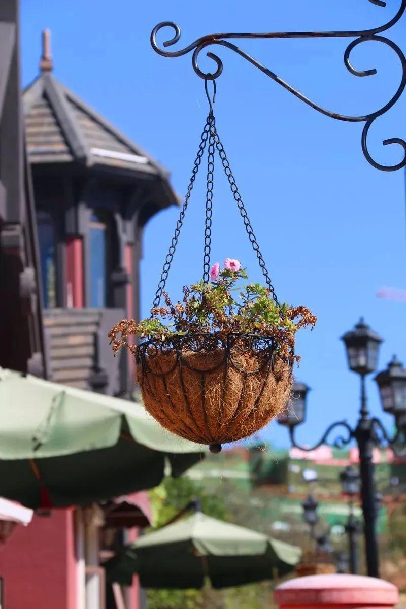 抚仙湖哪几处好玩,抚仙湖哪一段风景好