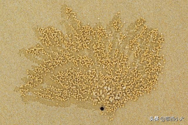 福建第一大岛平潭岛旅行,福建第一大岛是平潭还是海坛