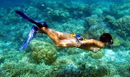 泰国即将要开放的岛,泰国封岛最新消息