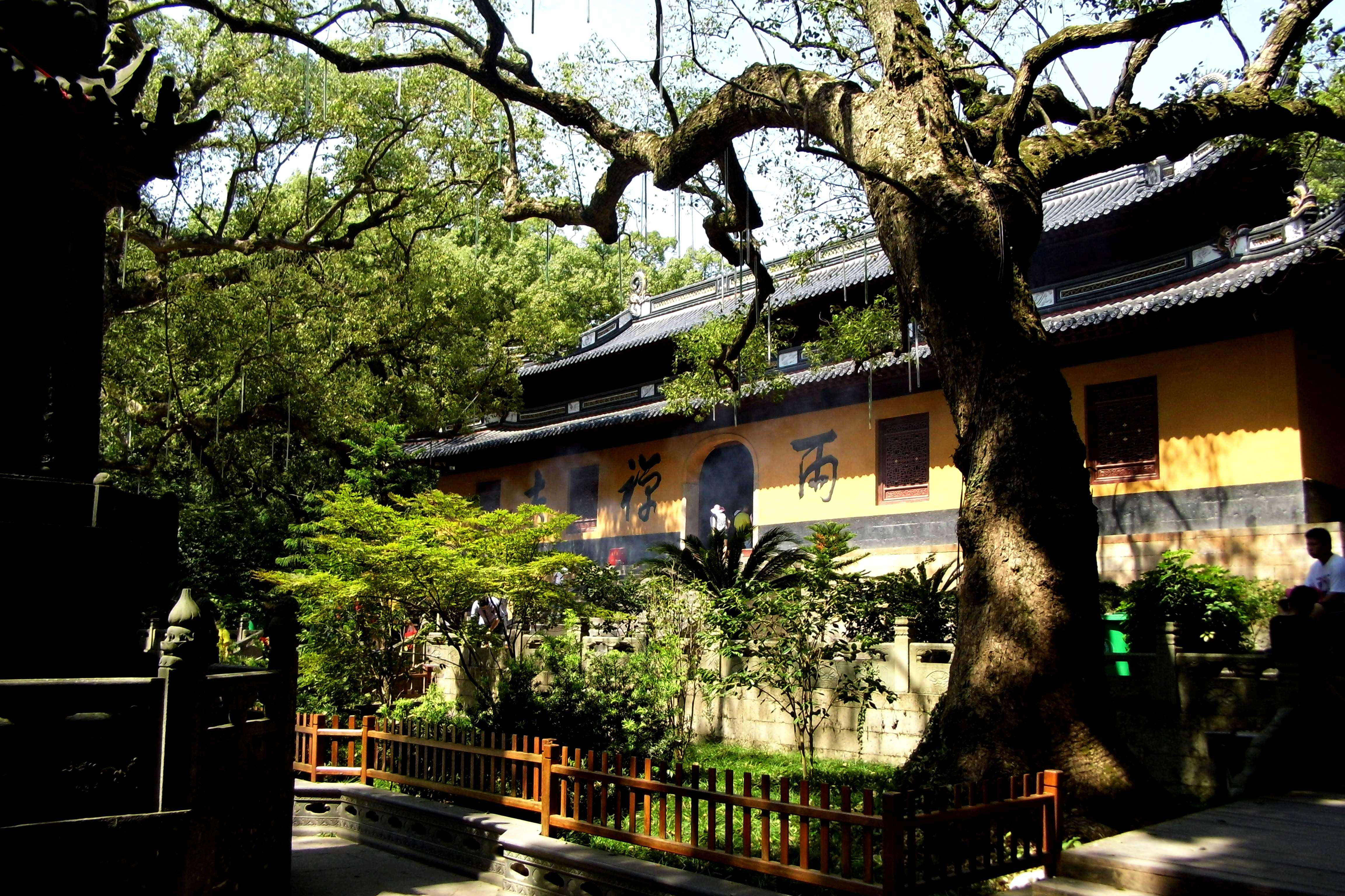 普陀山参拜旅游攻略,普陀山旅游攻略观音