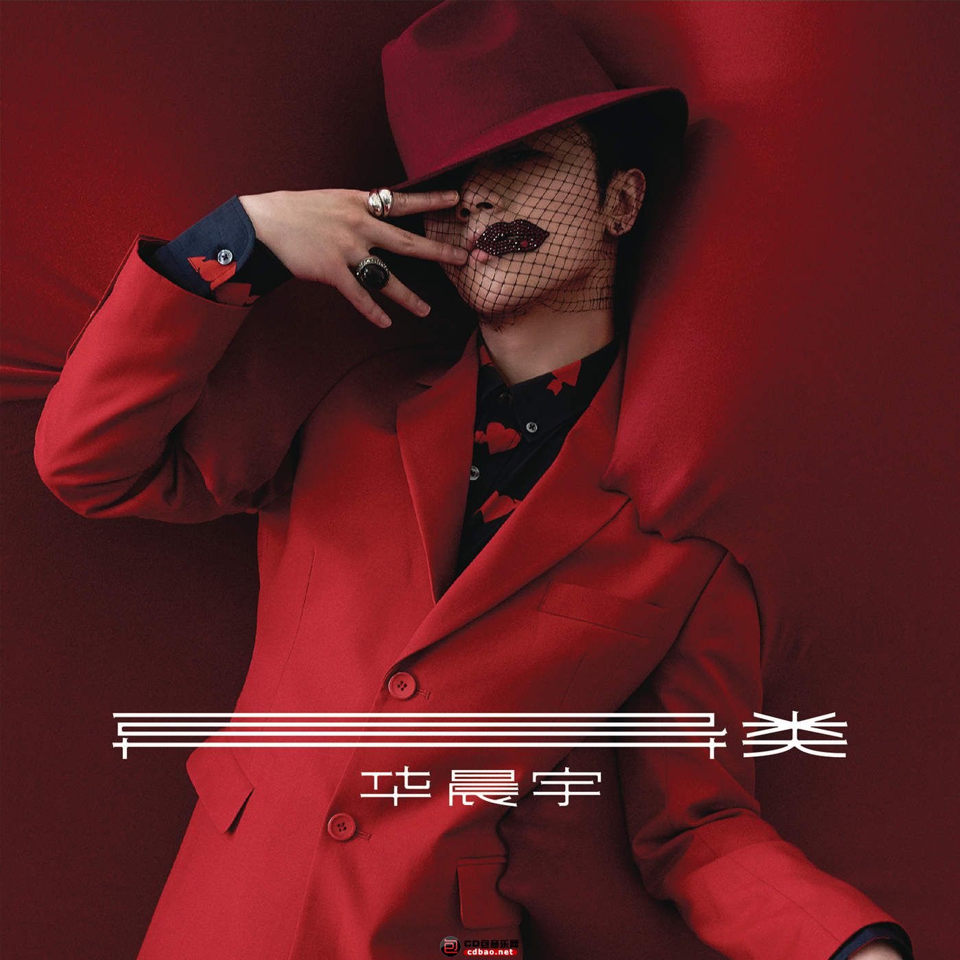 华晨宇阳光男孩,音乐鬼才华晨宇努力与天赋并存