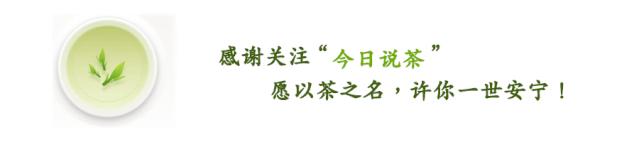今日说茶的故事,今日说茶全部视频