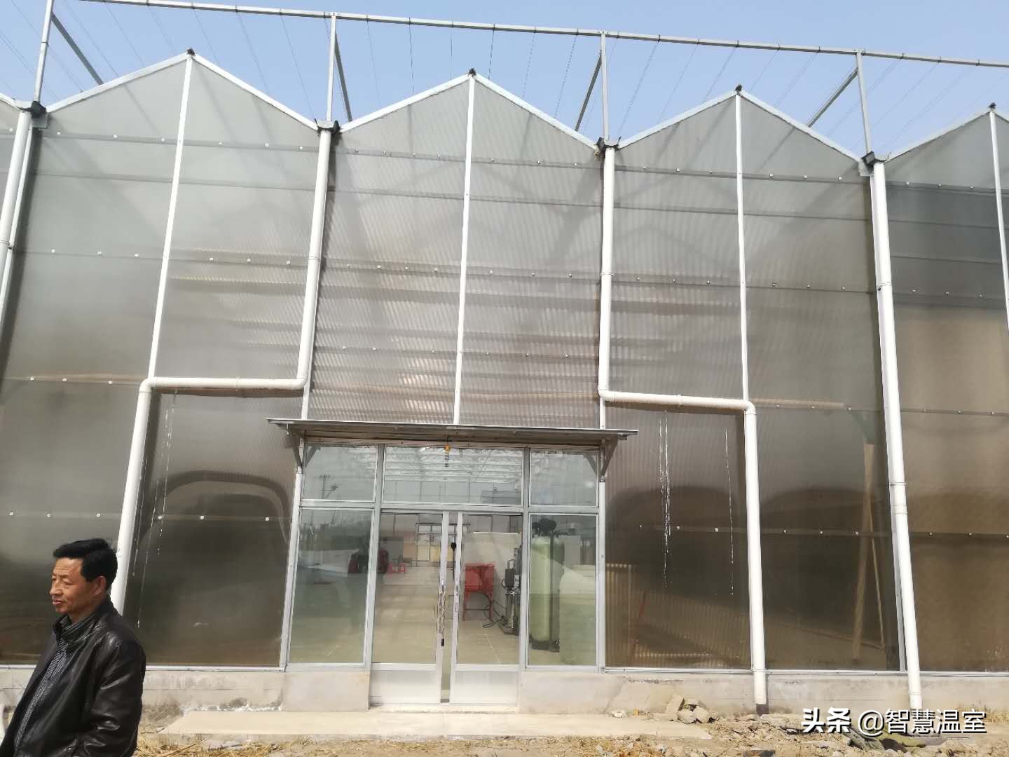 盘点温室大棚的优缺点,看看哪个类型适合你