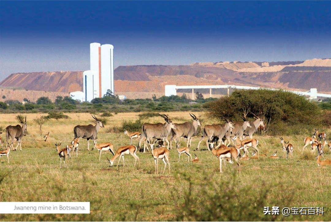 高级钻石鉴定及分级,宝石钻石鉴定