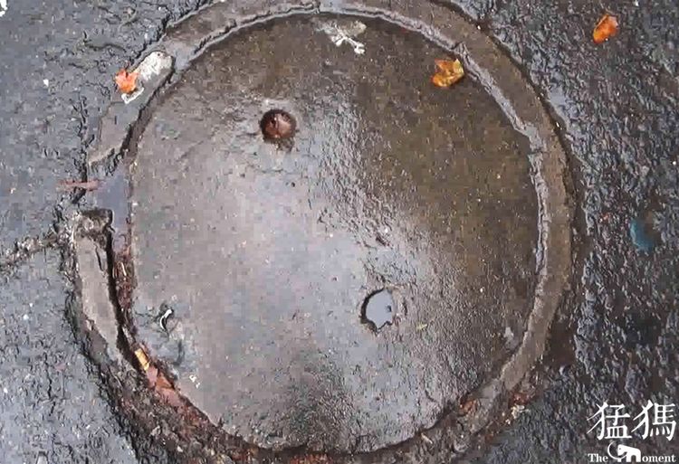 郑州仿古钱币井盖,郑州市井盖