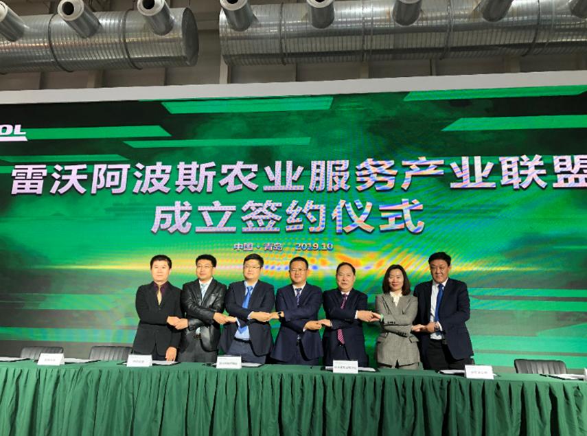 全面建成小康社会的伟大成就,全面建成小康社会政府的付出