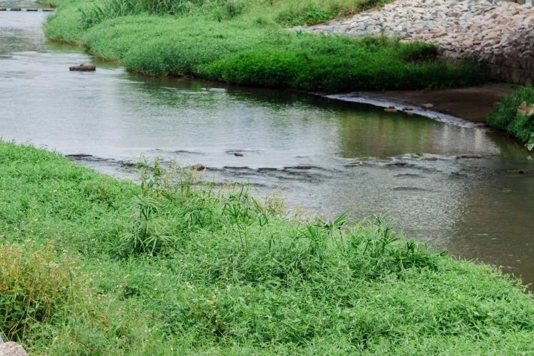 深圳10大旅游好去处,深圳盐田区周末休闲浪漫好去处