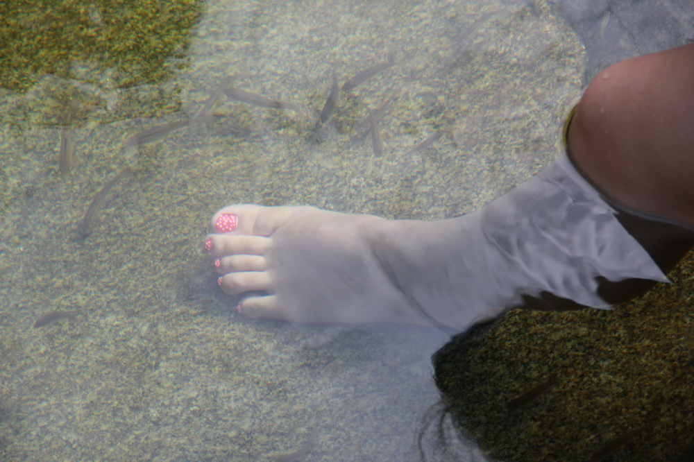 野蜂的口粮极为珍稀,一年等一次,再危险我们也要去“盗”一些!