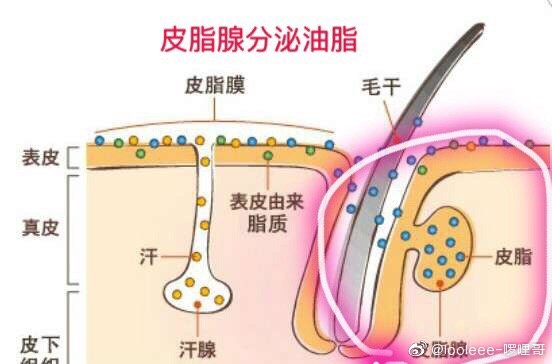 日本fda认证多少钱,日本fda认证