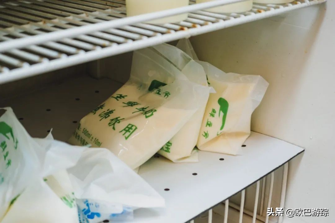 这家开了十几年奶店，每天供应生鲜牛奶，自制的牛奶糖水超赞