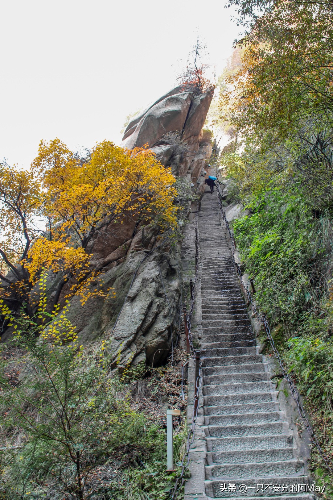 为什么爬华山都是夜爬,华山自古一条道很有必要爬吗
