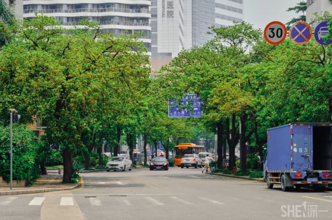 蛇口，传统与现代的并存