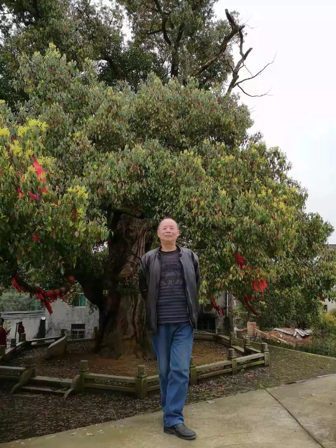 葛王佑保(中英双语)