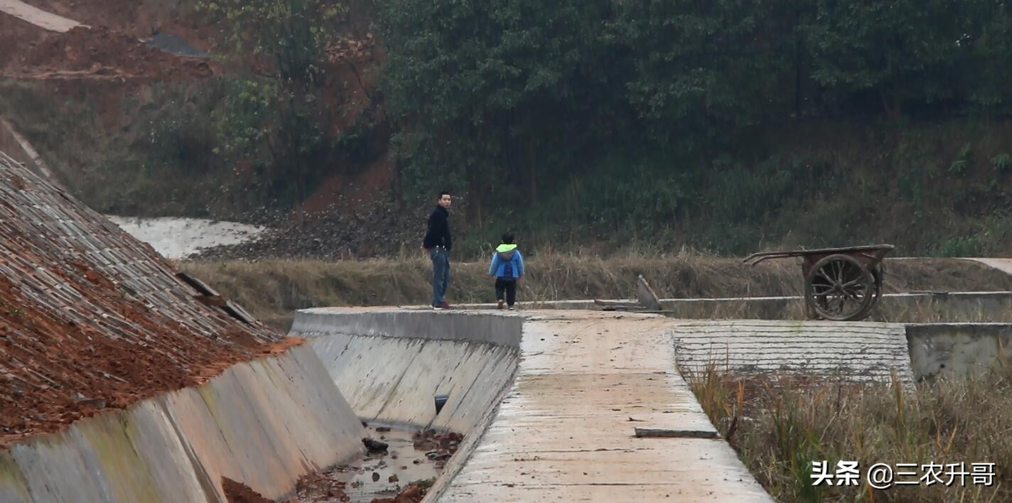 新农村建设田园风光小镇,农业种植养殖观光旅游休闲的方案