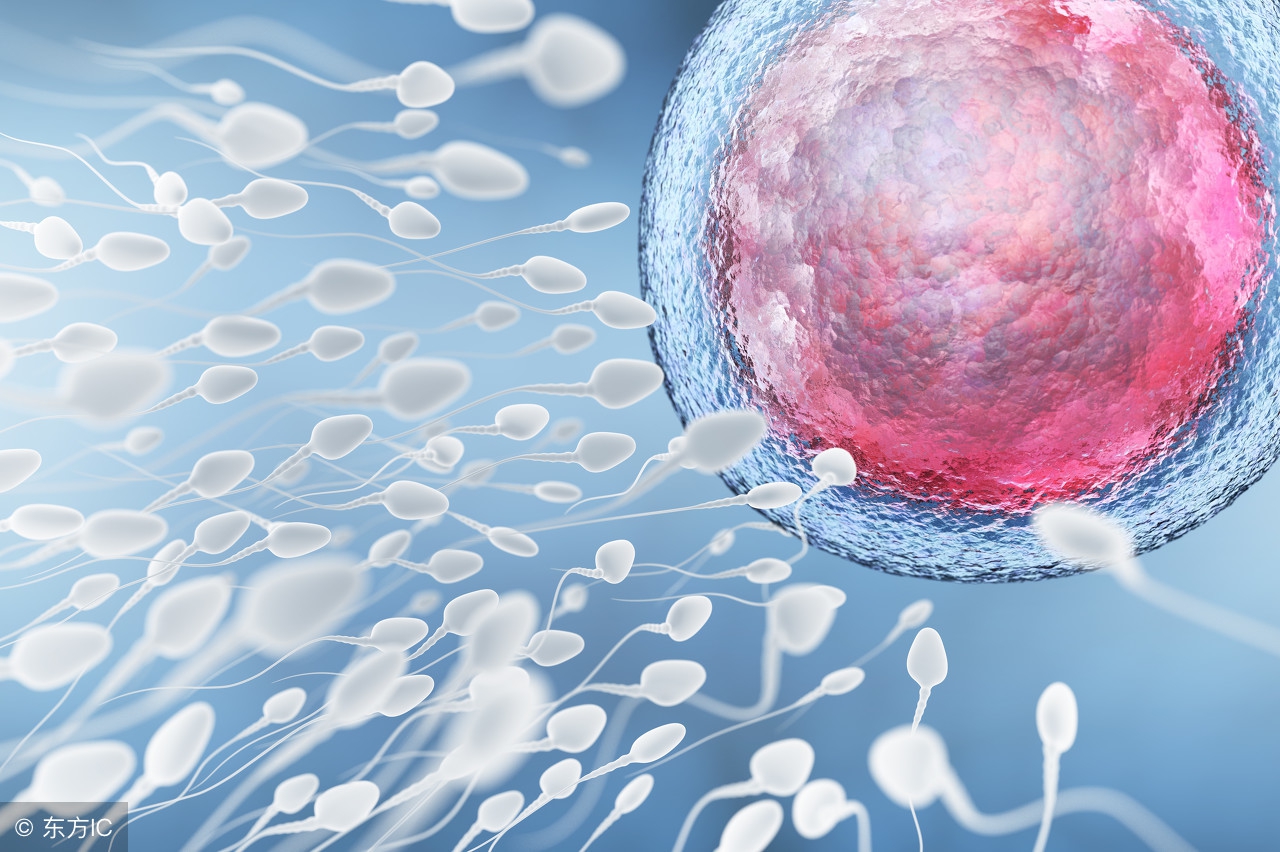 男人精液多，等于播种能力强？男人不懂，看一下不吃亏