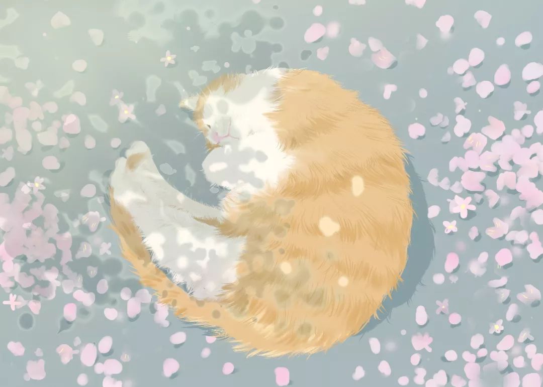 物极必反过则不吉,物极必反盛极而衰得道多助