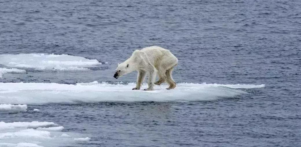 流浪地球十个细思极恐的细节2,红警流浪地球卡bug