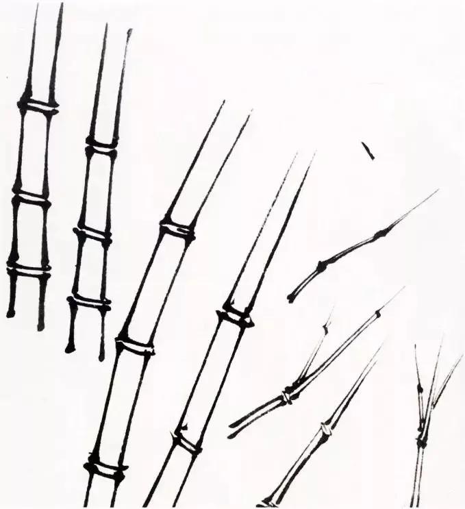 竹子的画法工笔画,竹子画法工笔画
