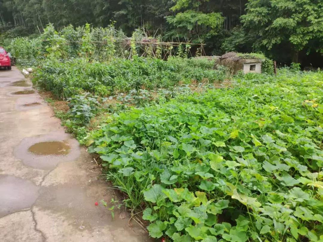 宜兴山水田园温泉酒店,宜兴私人温泉汤屋