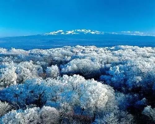 冬季的长白到底有多美？