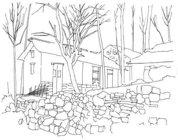 钢笔画零基础教程人物速写,零基础学钢笔画入门教程