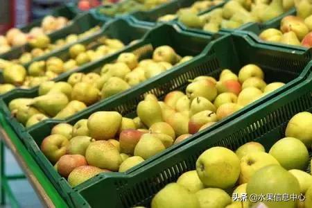 水果的品质辨别,鉴别水果好坏的技巧表格