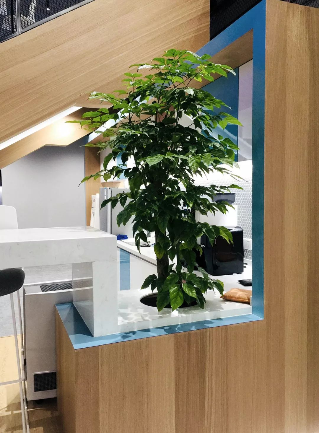 哔哩哔哩blg标配,哔哩哔哩室内设计