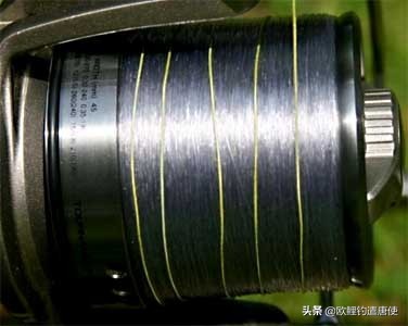 欧鲤钓远投主线用几号,话说欧鲤钓之抛投技巧