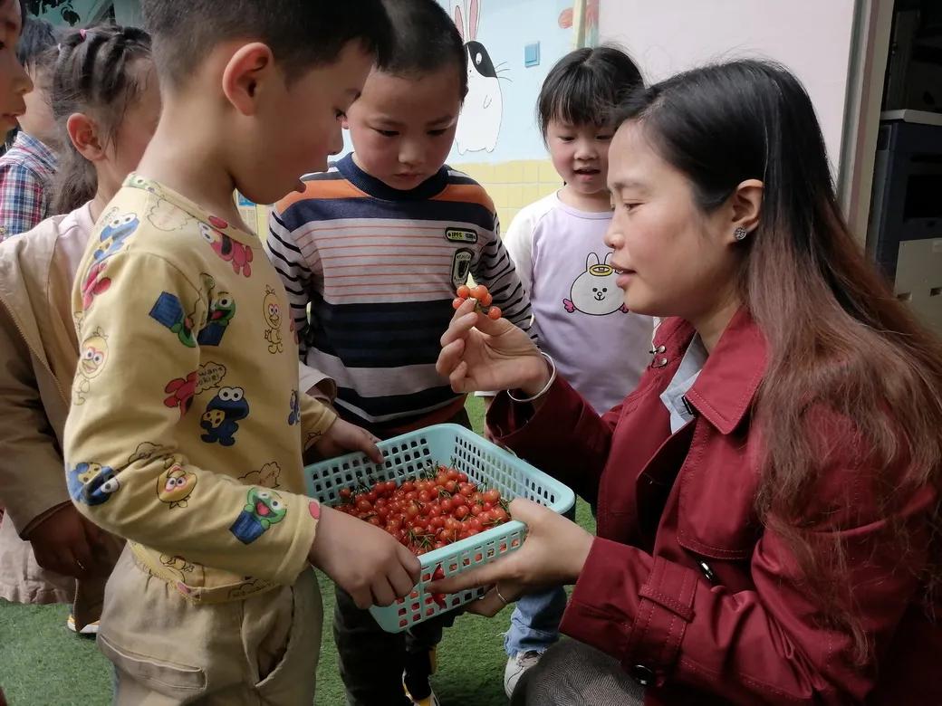 成都市双流区胜利幼儿园主题活动,天府新区幼儿园活动