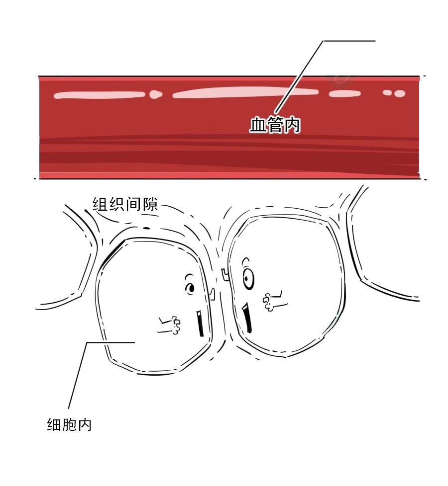 肾水肿最快消肿的方法,肾不好引起的腿部水肿如何消肿
