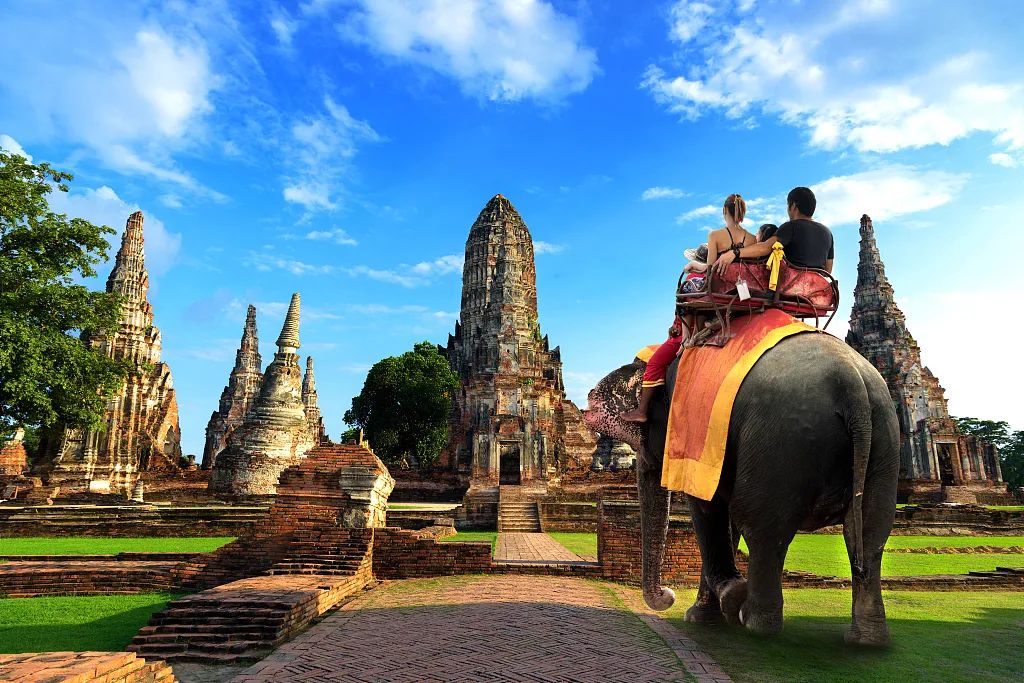 泰国大象因疫情失业徒步返乡视频,疫情过后的大象