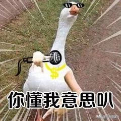 自学雅思一般需要多长时间,自学雅思的好处你根本想象不到