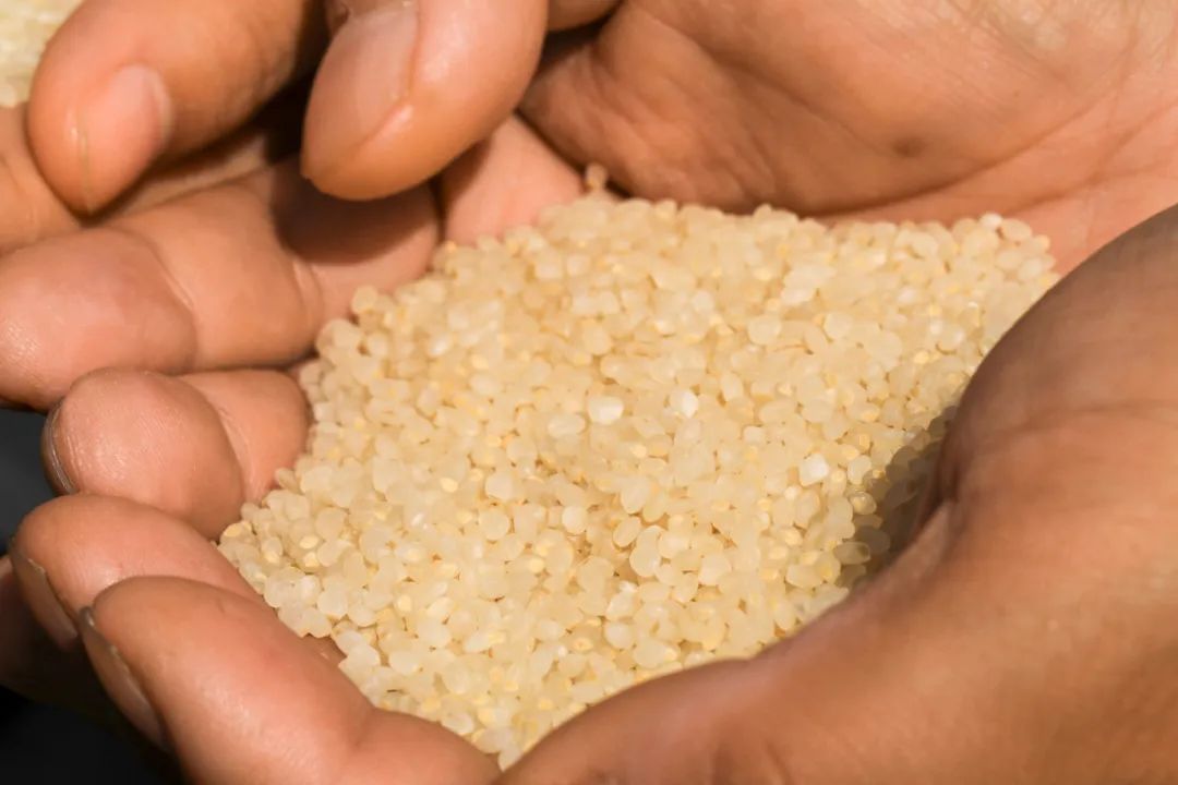 禾泱泱辅食,禾泱泱婴儿辅食老爸评测