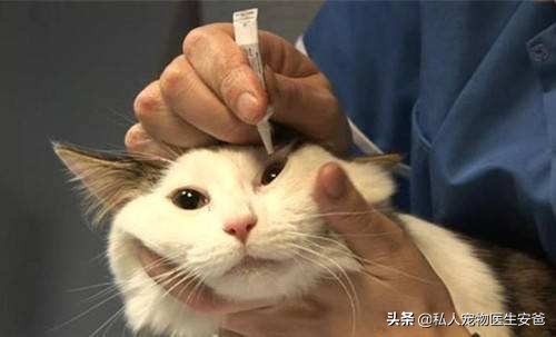 疱疹初长成的样子图片,疱疹病毒怎么治疗快