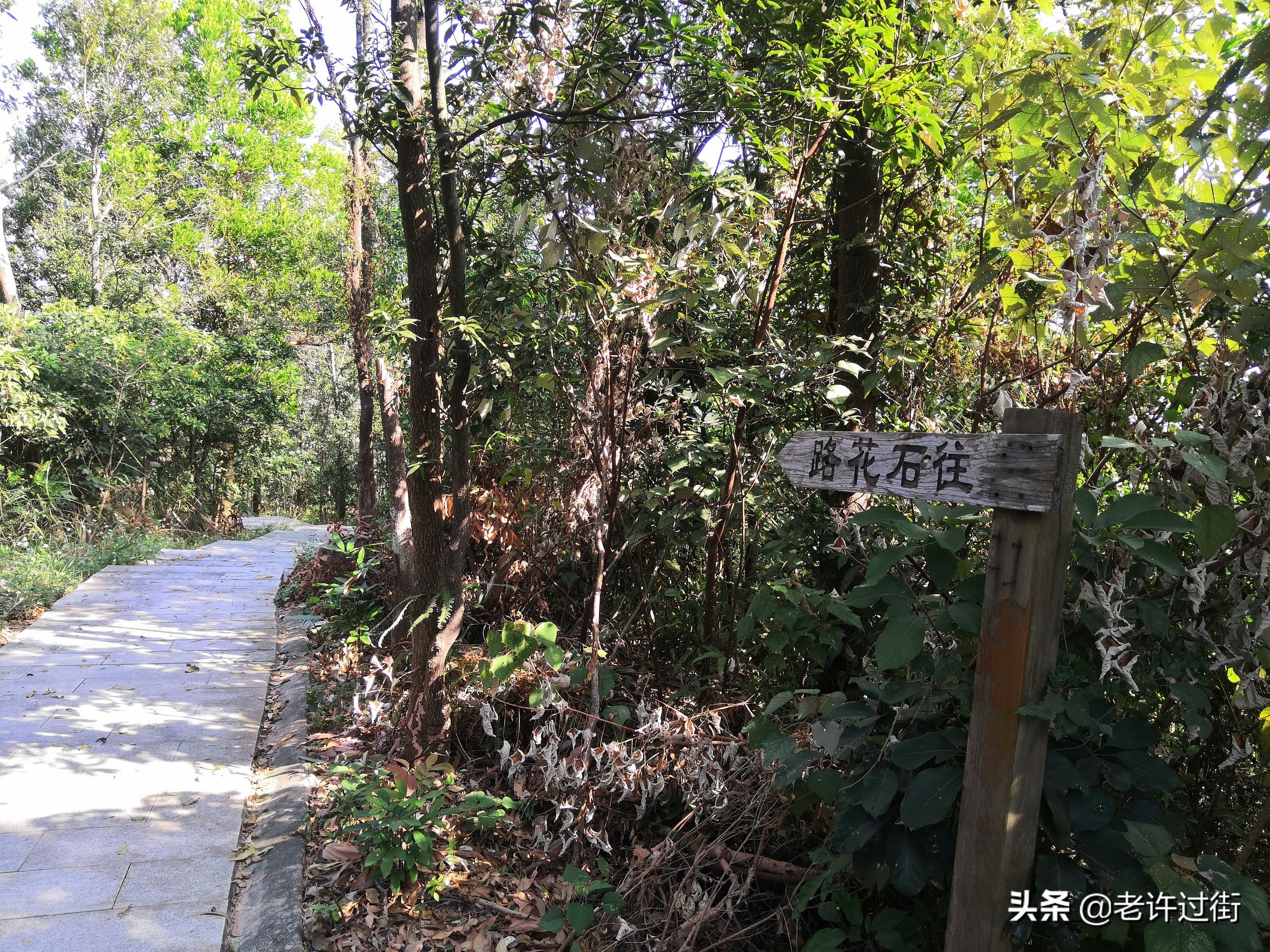 鐝犳捣姘у惂,鐝犳捣绌烘皵姘у惂