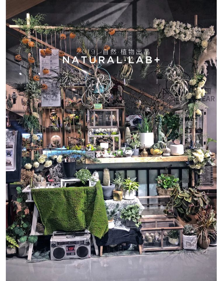 植物之美在于万物皆有情愫,植物之美有哪些