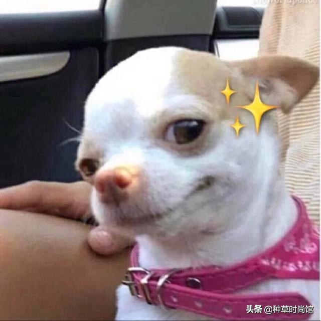 面膜上的黑名单是什么,你的面膜是不是白敷了