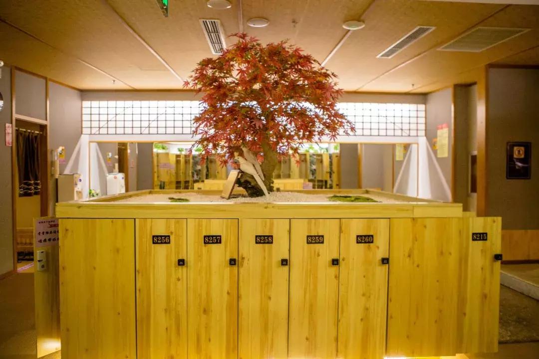 汤泉良子汤泉亚运村店团购,汤泉良子平日单人汤泉门票