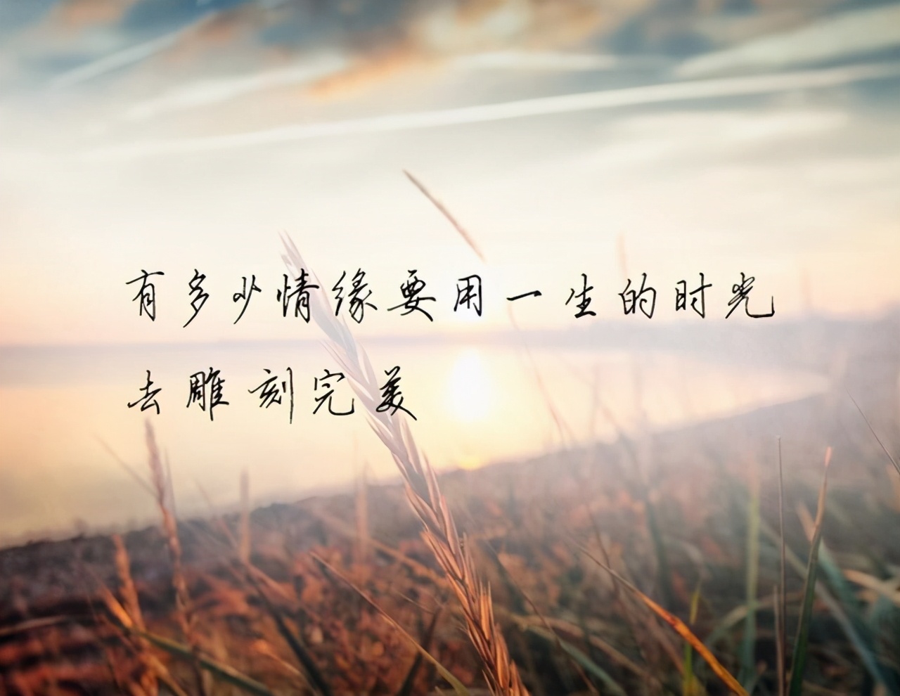 致爱过的你:“我喜欢现在的自己,怀念过去的我们”