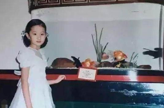 盘点明星真名合集,那些不知道的明星真名