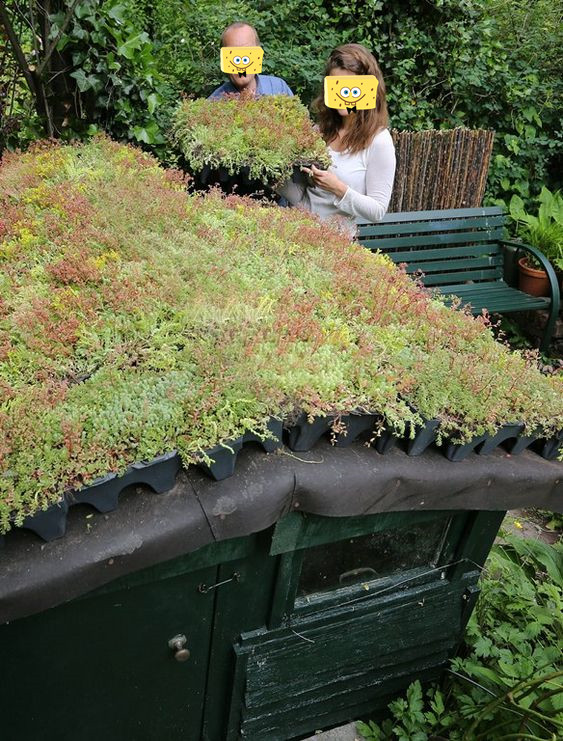 不占地方的种菜种花架子,简易木屋屋顶种花