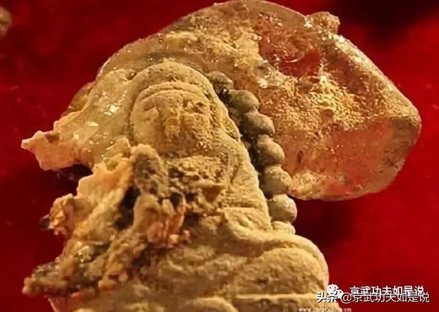 星云大师说没有舍利子是咋回事,为什么得道高僧圆寂没有病痛