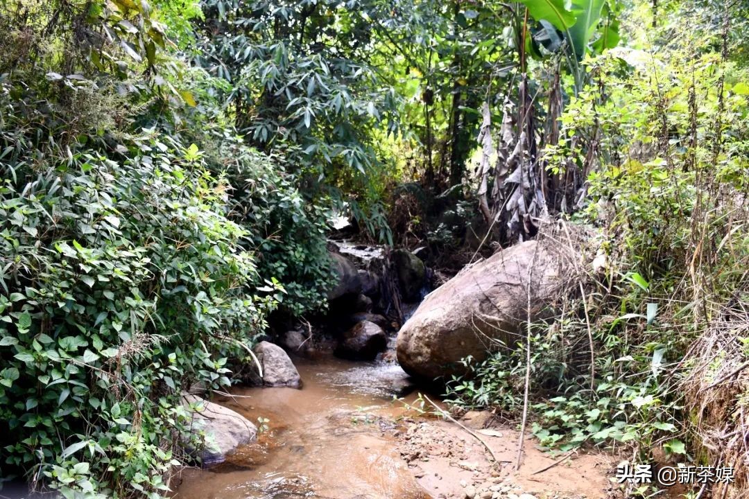 南糯山有什么景点,南糯山有哪些景点