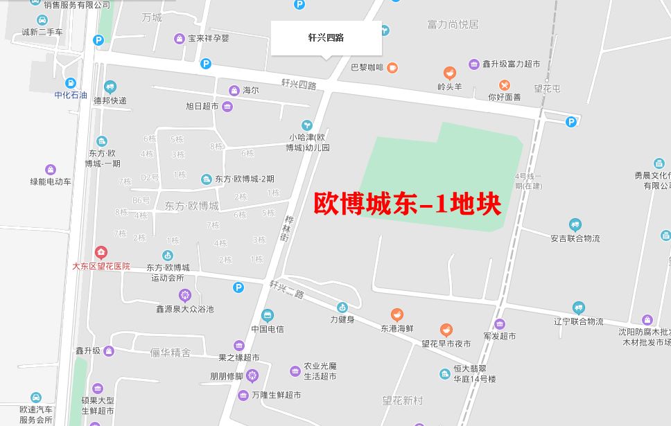 40个开发商抢滨湖省府板块土拍,全城沸腾又一场土拍刷新地价