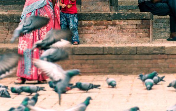 龙虾不吃东西,龙虾没人吃