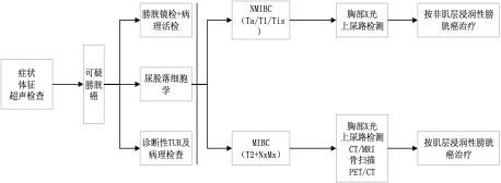 膀胱癌治疗安全共识,94岁老年膀胱癌诊疗经验
