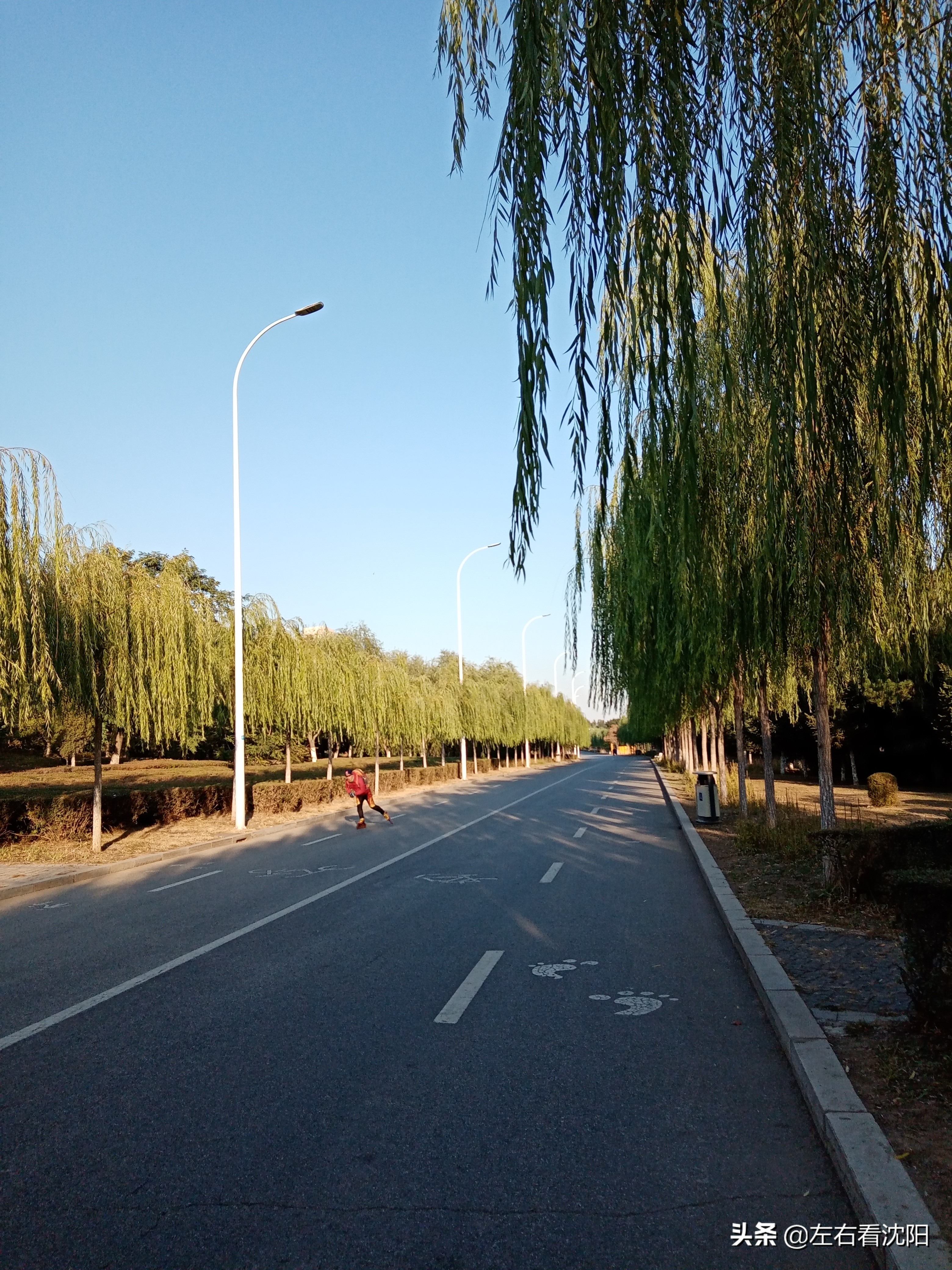 沈阳五里河公园攻略,沈阳五里河公园现在开吗