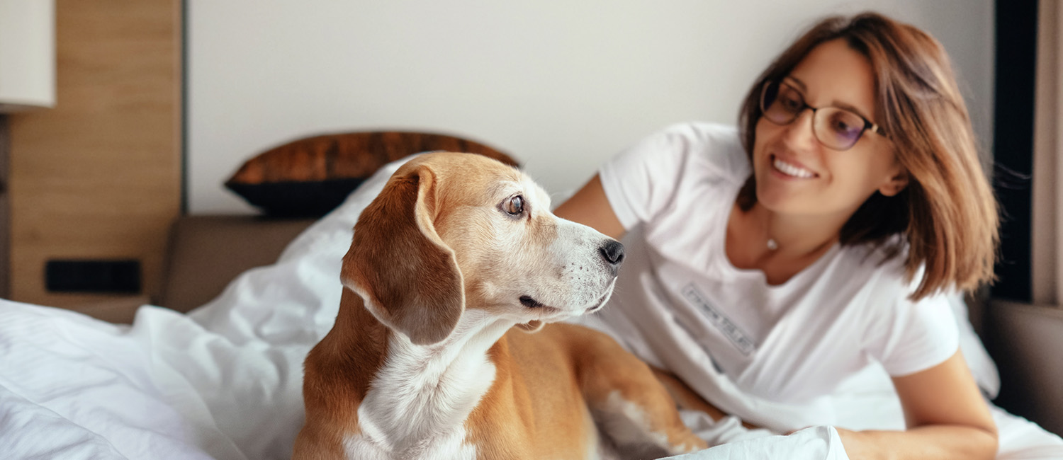 狗狗要去别人家怎么办,狗狗来新家做什么准备