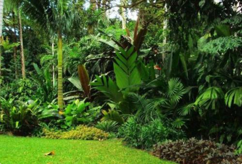 护手美肤又除菌,这才是洗手液的最高配置!